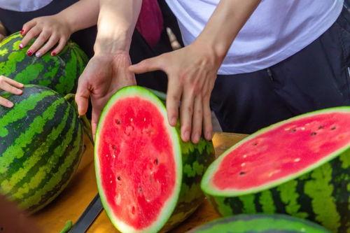 国际吃瓜日,揭秘全球“瓜界”狂欢盛况