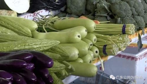 吃瓜中毒怎么办,吃瓜中毒紧急应对指南