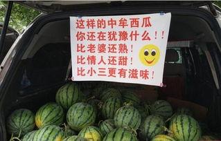 吃瓜怎么卖,揭秘如何让瓜果成为热销品