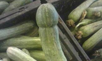 朵拉现世吃瓜,一场别开生面的吃瓜盛宴