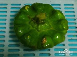 姜饼瓜婴儿可以吃,婴儿辅食新选择，营养美味两不误