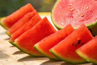 郑州财经视频吃瓜,揭秘吃瓜背后的财经风云