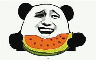 吃瓜群众吃的是什么瓜,揭秘吃瓜群众的瓜品盛宴