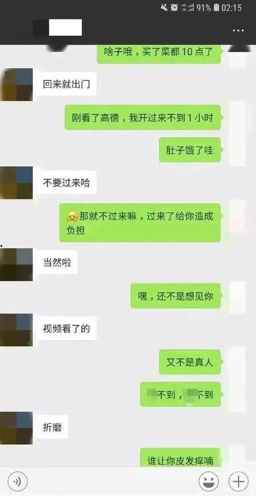 吃瓜聊天记录黄色瓜最新,吃瓜聊天记录中的黄色瓜，真相究竟如何？