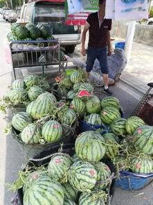 奉贤饭店吃瓜事件,一场意外引发的舆论风波