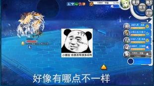 吃瓜云玩家紫,吃瓜云玩家紫的奇幻之旅