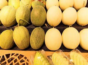 吃铁瓜好还是吃哈密瓜好,口感与营养的较量，哪一种更胜一筹？”