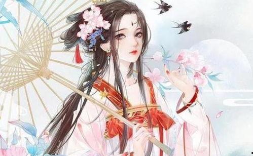 锦书吃瓜小说,揭秘小说中的那些鲜为人知的幕后故事