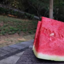 小夏子吃瓜,揭秘娱乐圈那些不为人知的幕后故事