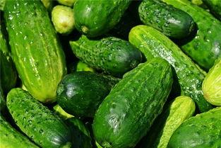 梦到吃瓜甜,揭秘吃瓜甜的甜蜜奥秘