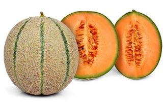 吃头孢能吃哈密瓜,揭秘抗生素与水果的饮食禁忌