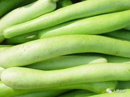 一家四口吃梨瓜的图片,四口之家共享梨瓜美味时光