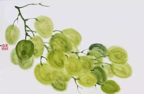 老树瓜怎么吃,解锁传统美食新体验